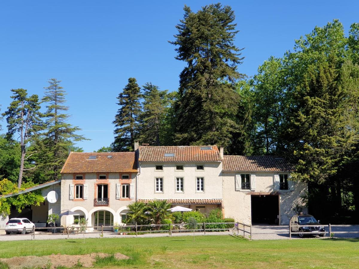 Vila Domaine De Pouroutounat Mirepoix  Exteriér fotografie